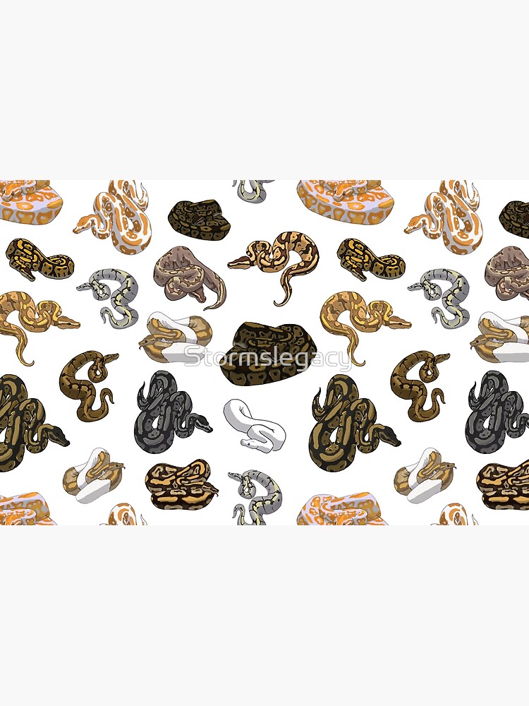 Ball Python Morph Snake Pattern by Stormslegacy