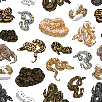 Artwork thumbnail, Ball Python Morph Snake Pattern by Stormslegacy