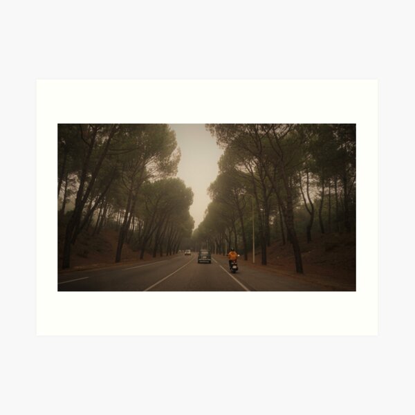 Straße nach Arcachon Kunstdruck