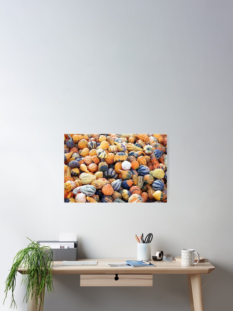 Thumbnail 2 of 3, Poster, Colorful Gourds B designed and sold by Falln.