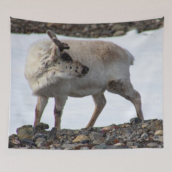 Item preview, Where's My Mates? designed and sold by Marylou Badeaux.