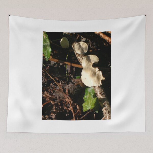 Item preview, Tree Fungus And Ivy Leaves designed and sold by lezvee.