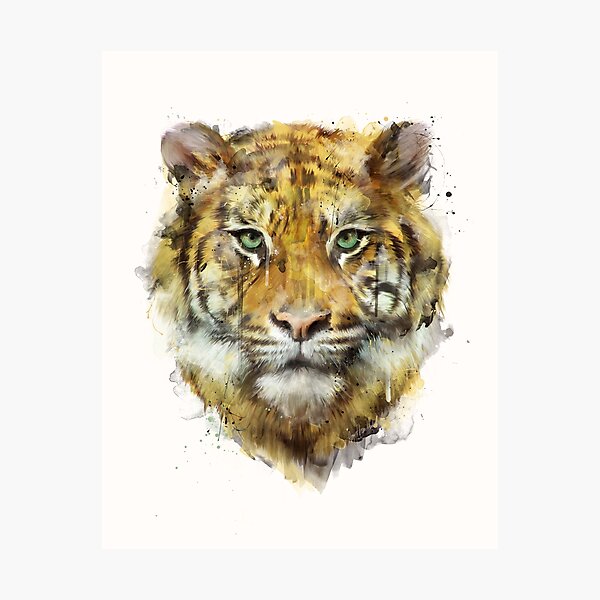 Tiger // Strength Photographic Print
