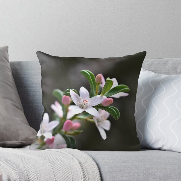 Item preview, Philotheca Flowers designed and sold by Summer-Lea James.
