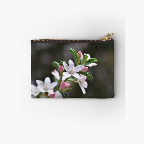 Item preview, Philotheca Flowers designed and sold by Summer-Lea James.