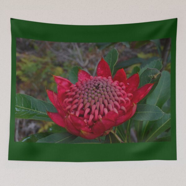 Item preview, Waratah designed and sold by maritahills.