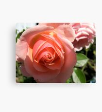 Quixotic Rose Leinwanddruck