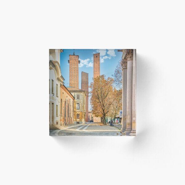 The towers of the parrots in Pavia Acrylic Block