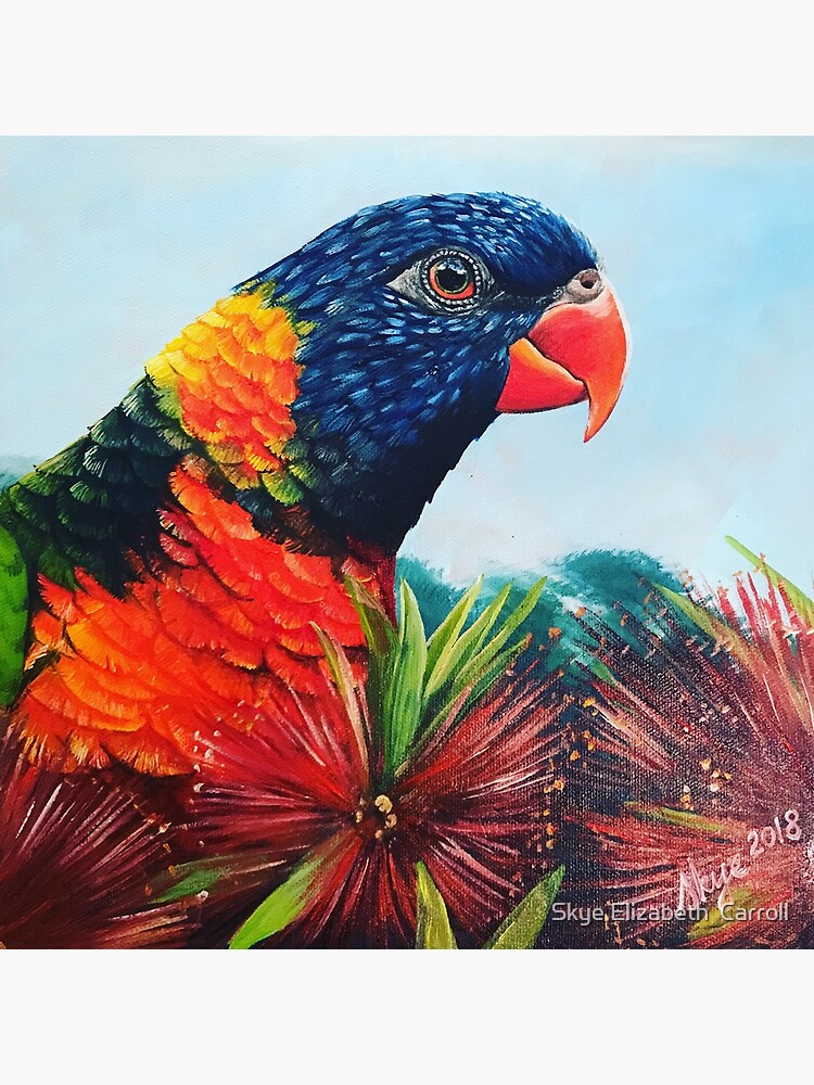 Mojo the Rainbow Lorikeet by SkyeElizabeth