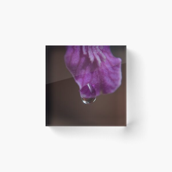 Item preview, morning dew designed and sold by michelle meenawong.