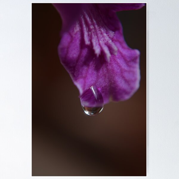 Item preview, morning dew designed and sold by michelle meenawong.