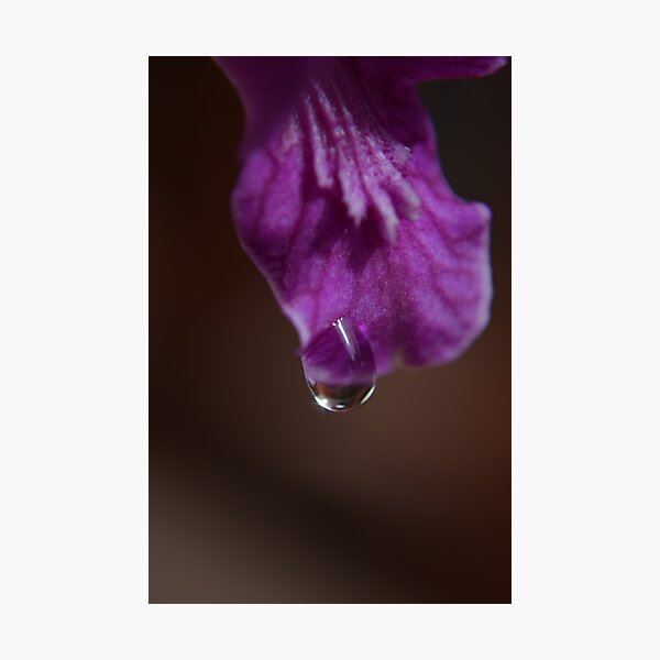 Item preview, morning dew designed and sold by michelle meenawong.
