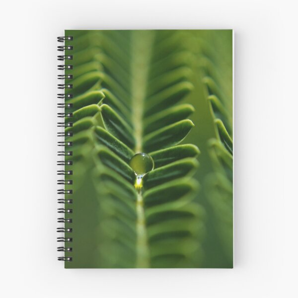 Item preview, a green drop designed and sold by michelle meenawong.