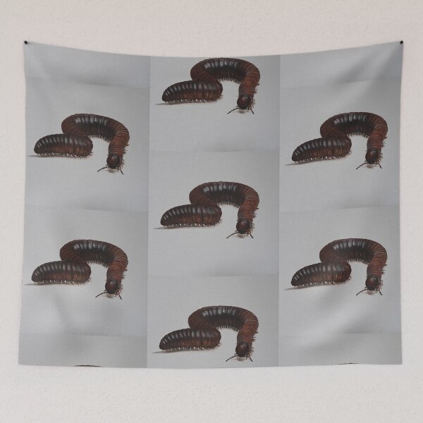 Item preview, Millipede designed and sold by MaggieMosleyArt.