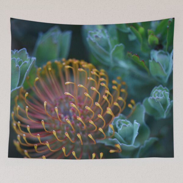 Item preview, Leucospermum Patersonii - changing colour designed and sold by imaginethis.