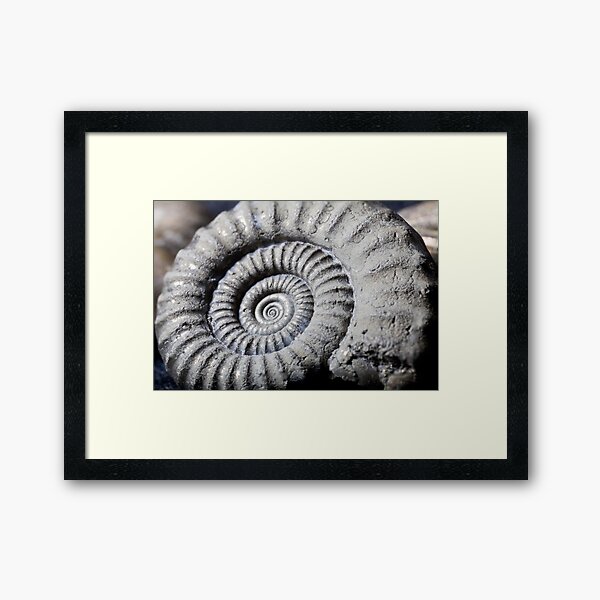 Set in stone Framed Art Print