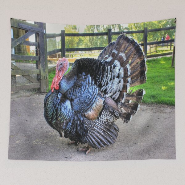 Item preview, Turkey designed and sold by Vicki Spindler (VHS Photography).