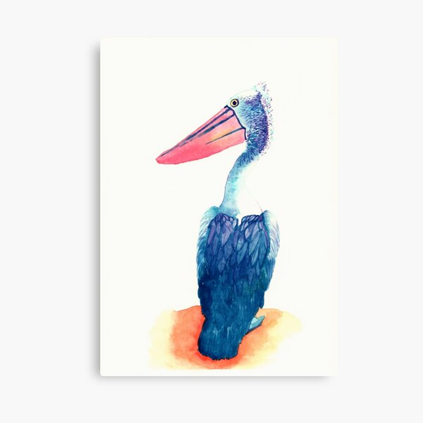 Pelikan Canvas Print