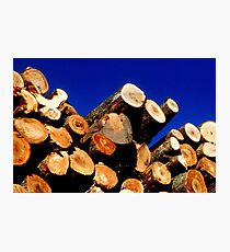 Firewood Photographic Print
