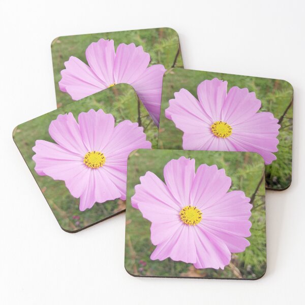 Item preview, Winter Cosmos Flower in Pink 3  designed and sold by ellenhenry.