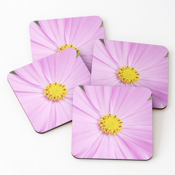 Item preview, Winter Cosmos Flower in Pink 4 designed and sold by ellenhenry.