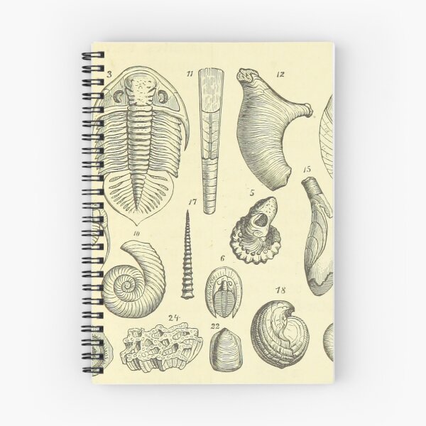Item preview, fossils designed and sold by scrambledtofu.