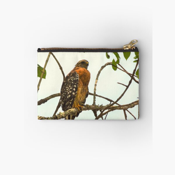 Item preview, Red Shouldered Hawk 3 designed and sold by LisaWootenPhoto.