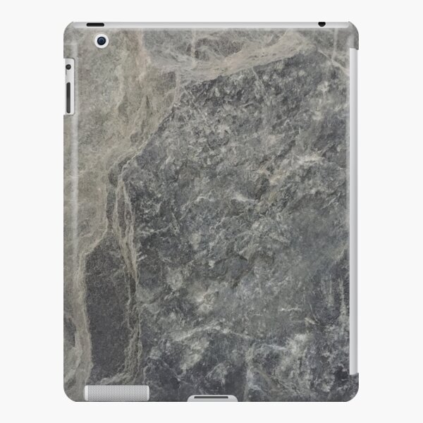 art 2 iPad Snap Case