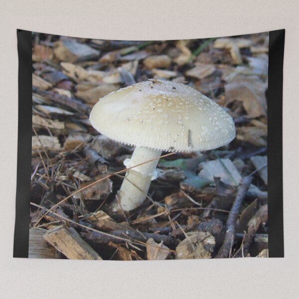 Item preview, mushroom designed and sold by Maureen Zaharie.