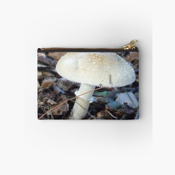 Item preview, mushroom designed and sold by Maureen Zaharie.