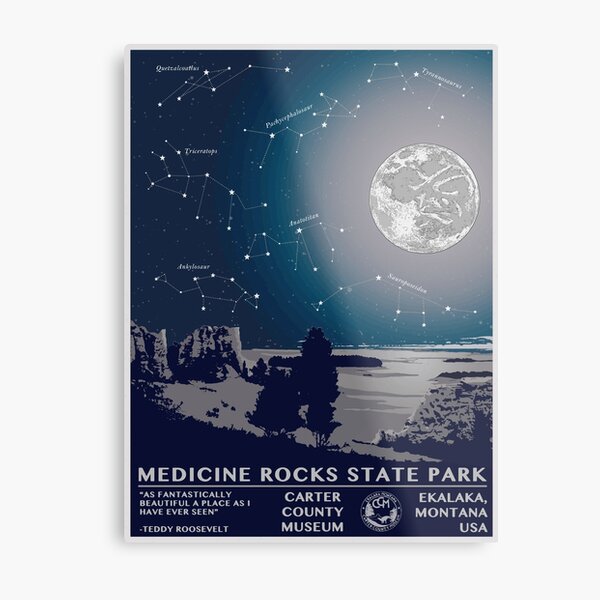 Cretaceous Constellations Metal Print