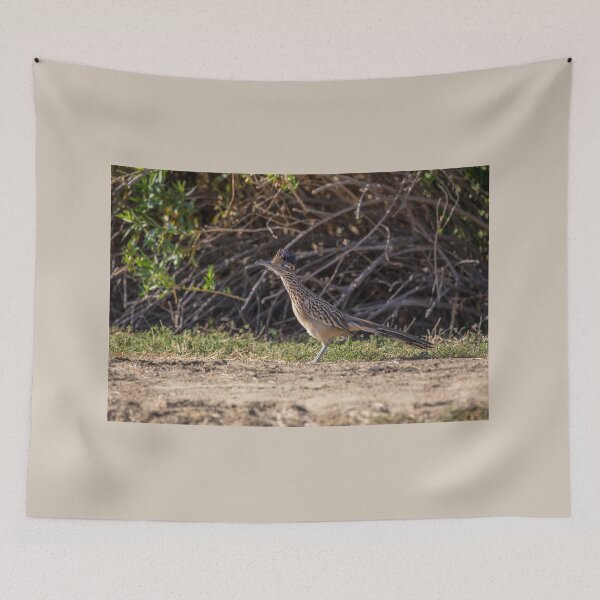 Item preview, Roadrunner  designed and sold by CarolM.
