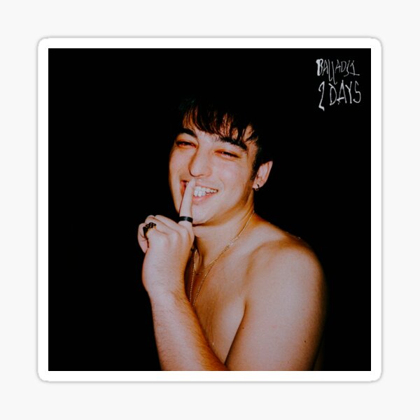 joji collection 4 Sticker
