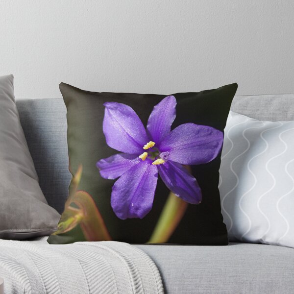 Item preview, Another mystery in our garden.........!! designed and sold by Roy  Massicks.