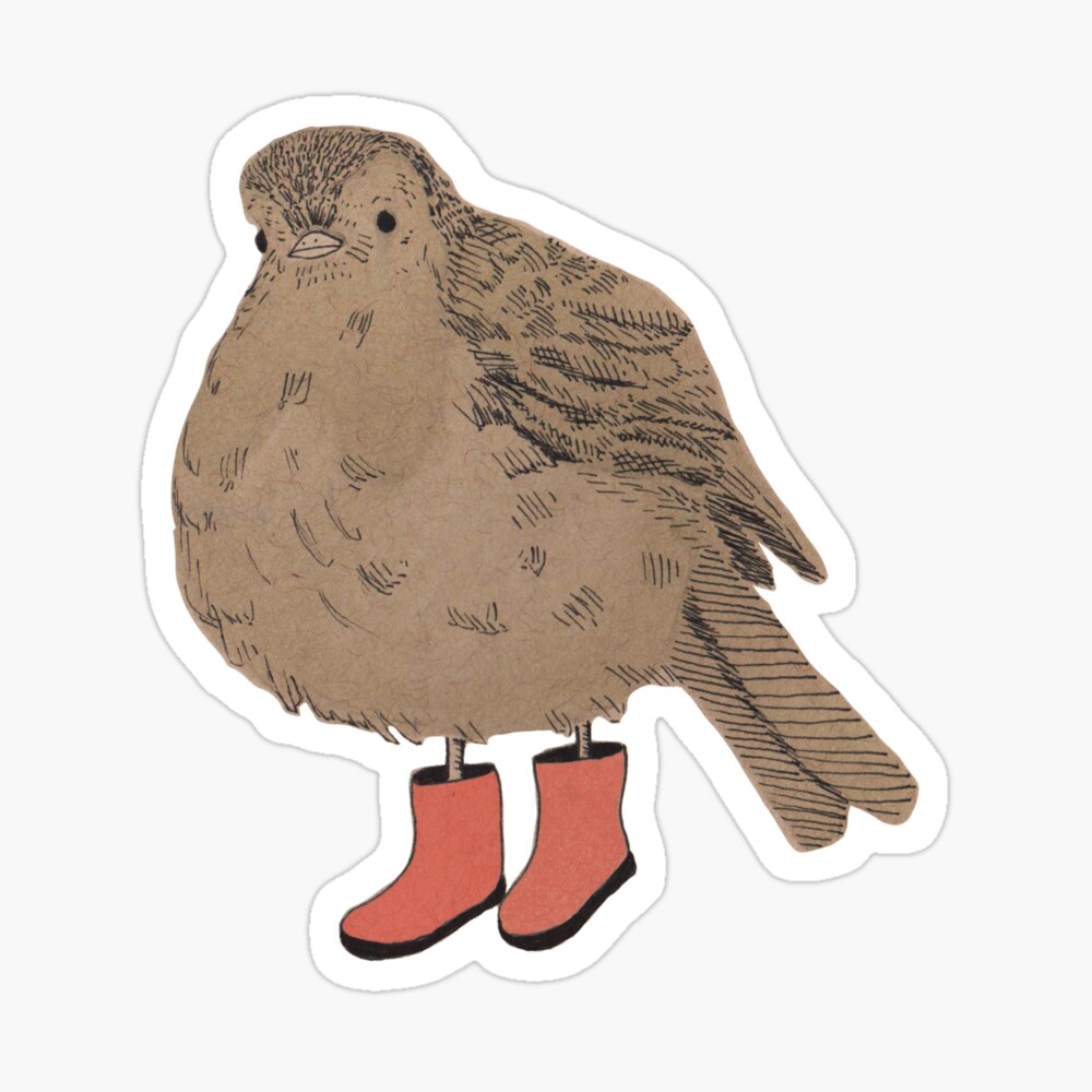 bird boots