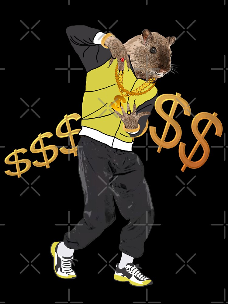 The hip hop rapper rat