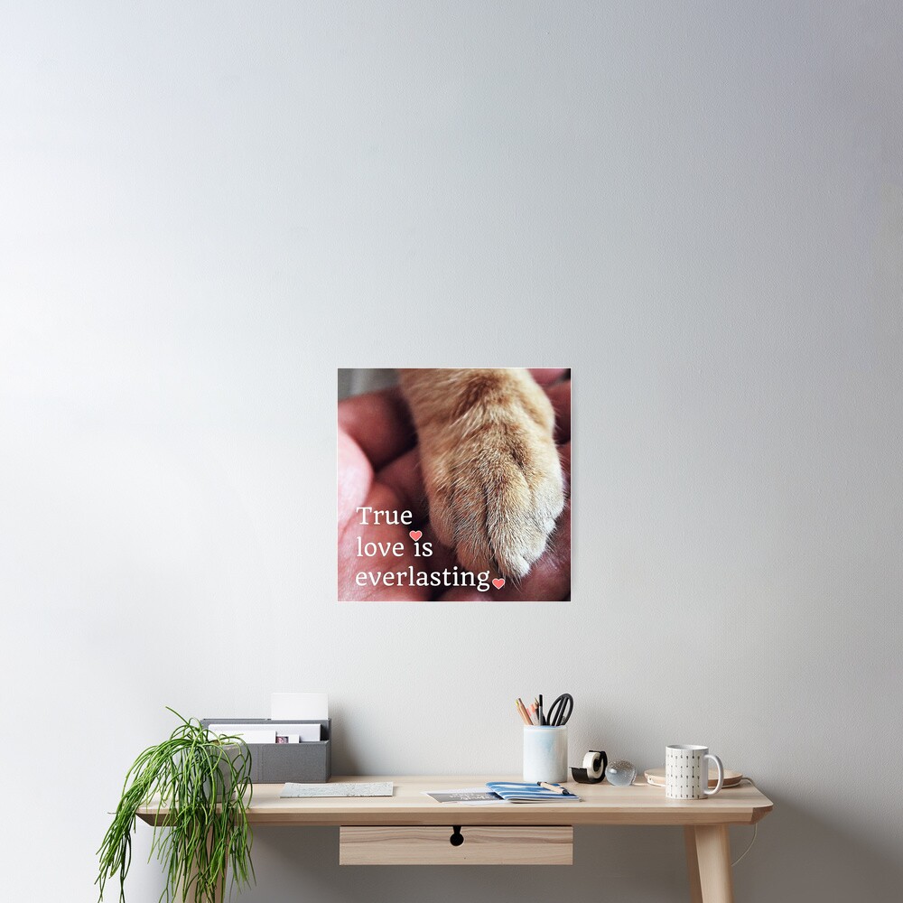 True love is everlasting. Poster