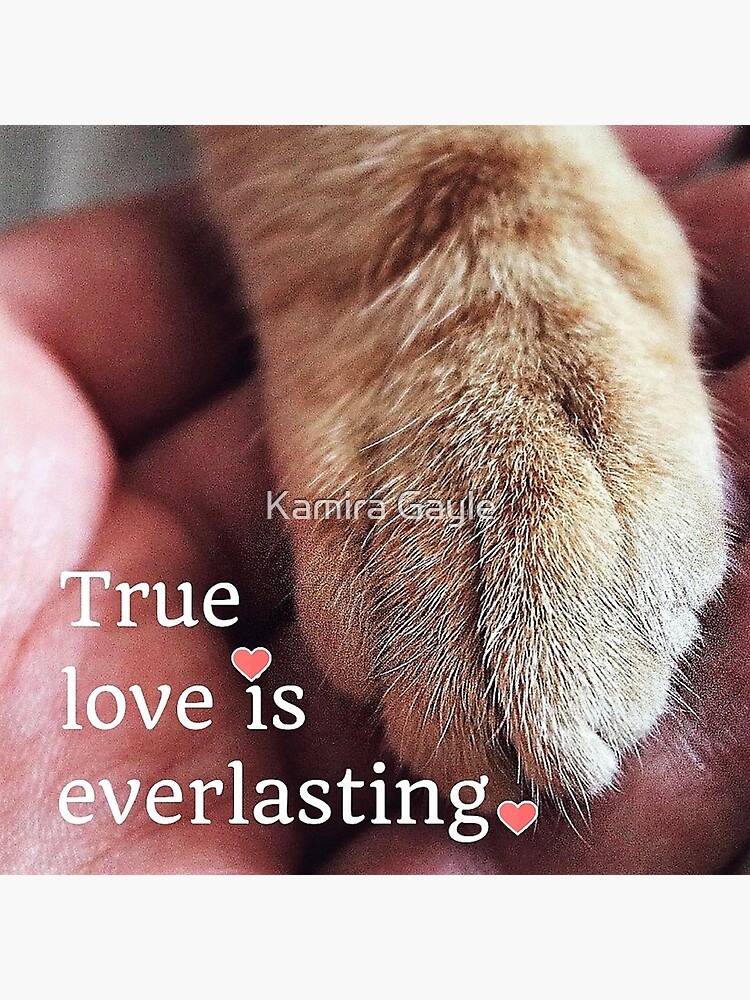 True love is everlasting. by Impurrfectlife