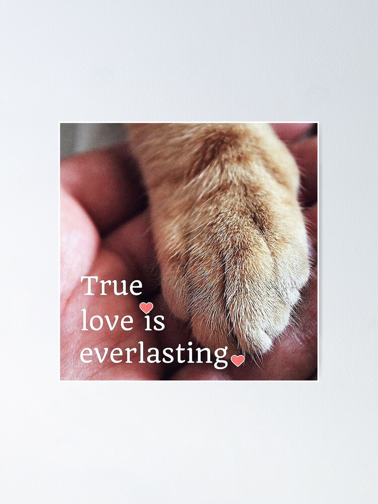 Alternate view of True love is everlasting. Poster