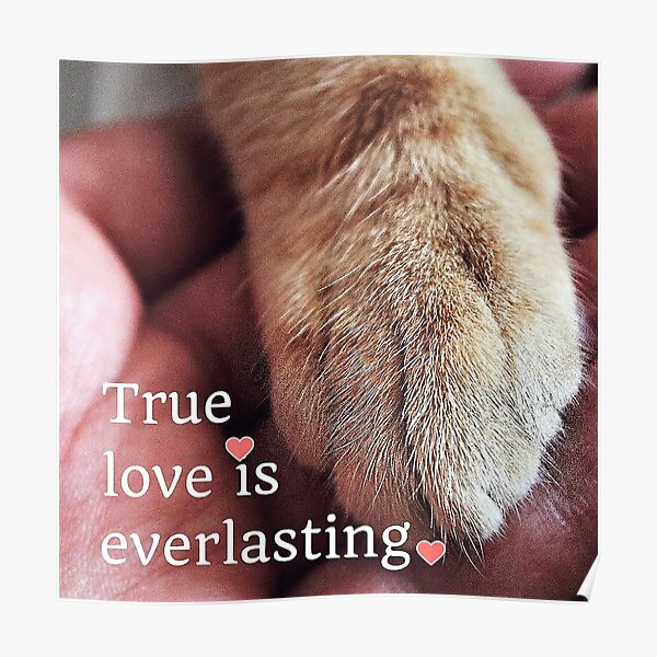 True love is everlasting. Poster