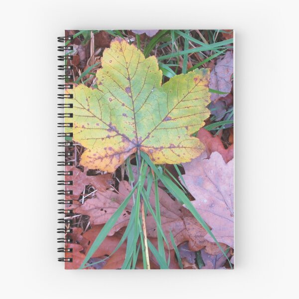 Item preview, Fallen Leaves designed and sold by lezvee.