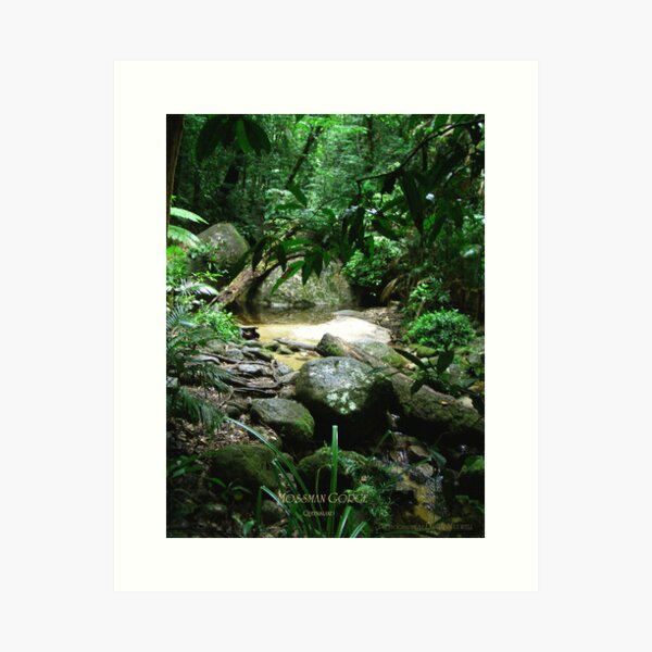 Item preview, mossman gorge queensland designed and sold by dmaxwell.