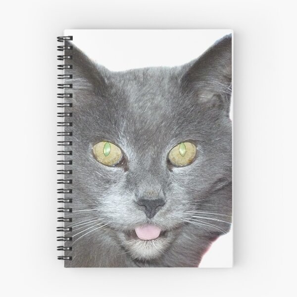 Item preview, Pompon the cat designed and sold by Martin Boisvert.