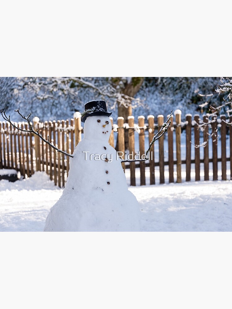 Snowman by taos