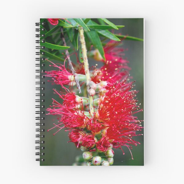 Item preview, Bottle Brush designed and sold by polyhymnia14.