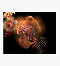 Asian Apophysis Photographic Print