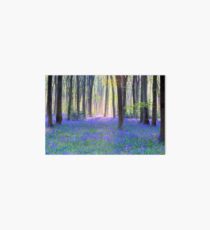 Bluebell Spring - An English Bluebell Wood in Spring Art Board