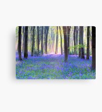 Bluebell Spring - An English Bluebell Wood in Spring Canvas Print