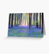 Bluebell Spring - An English Bluebell Wood in Spring Greeting Card