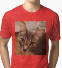 Ozzy the kitten Tri-blend T-Shirt
